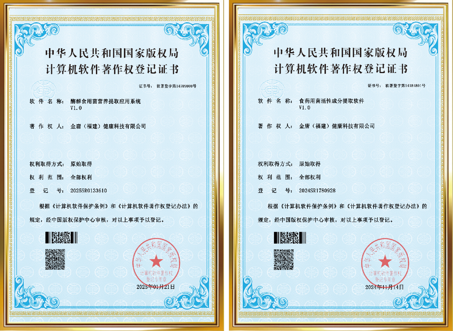 计算机软件系统著作权