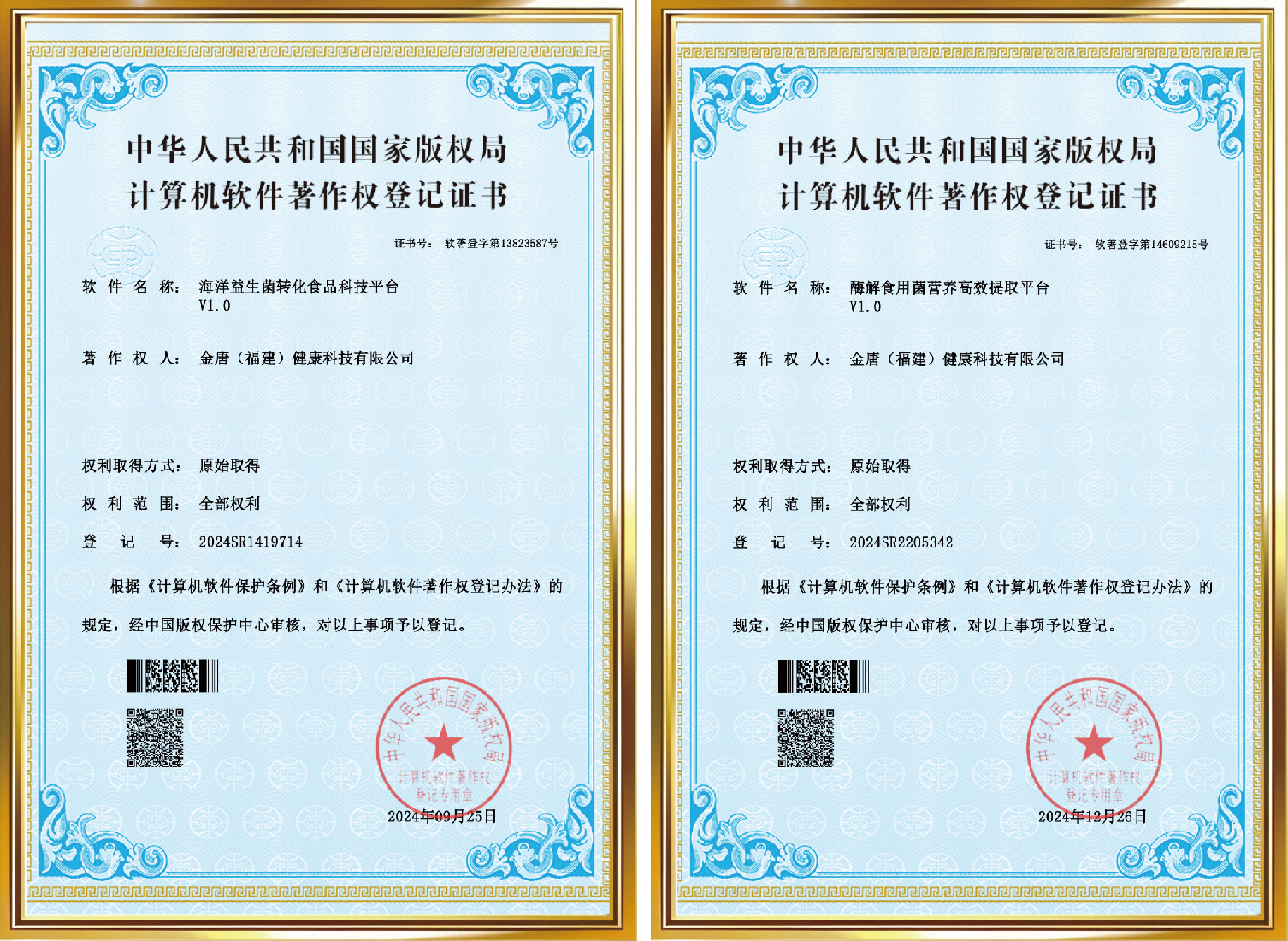 计算机软件著作权